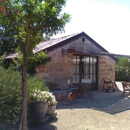 Casetta Vacanza In Campagna Aradeo エクステリア 写真